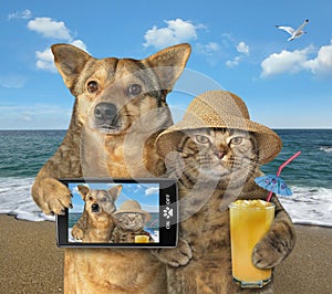 Dog and cat made selfie on the beach 2
