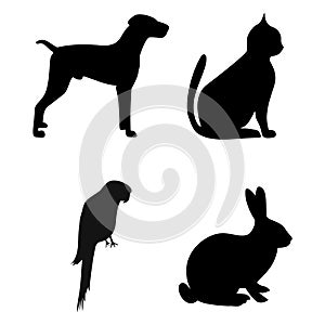 Dog, Cat, Parrot, Rabbit silhouettes - illustration