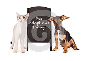 Dog and Cat With Pet Adoption Sign
