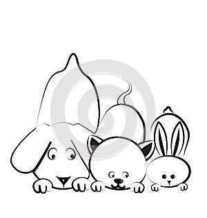 Dog, cat and rabbit logo