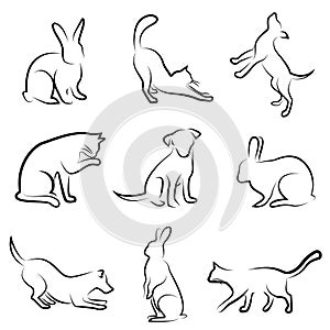 Dog, cat, rabbit animal drawing photo