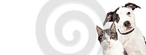 Dog and Cat on Side of White Web Banner