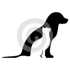 Dog and Cat silhouette and pet shop. Friends Pet symbol vector illustration