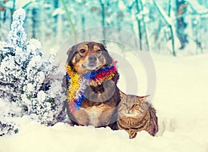 A dog and a cat sitting together in a snowy forest