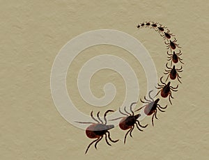 Dog or cat tick invasion - aka Black legged deer tick