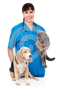 Dog and cat at the veterinary checkup