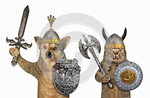 Dog and cat are vikings