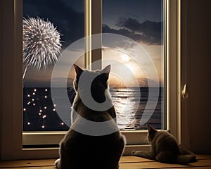 The dog cat is watching fireworks through a window.