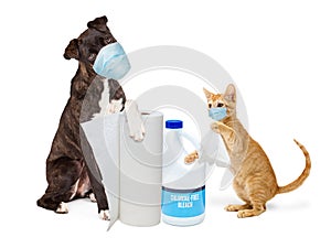 Dog and Cat Wearing Masks With Virus Germ Cleaning Supplies