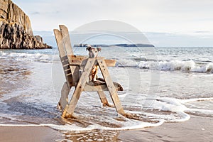 Dog on chair looking out to sea