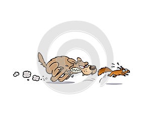 Dog chasing a squirrel