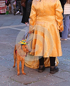 dog with a cheerful hat on the master s leash with a masquerade costume in Venice Italy during Carnival