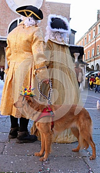 dog with a cheerful hat on the master s leash with a masquerade costume in Venice during Carnival