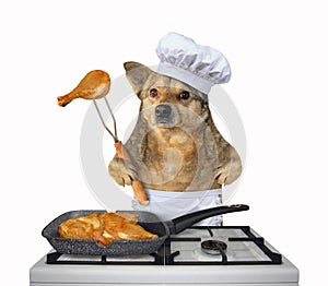 Dog chef cooks a chicken