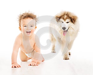 Dog and Child, Crawling Infant Baby, Kid Pet over White