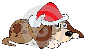 Dog in Christmas cap vector