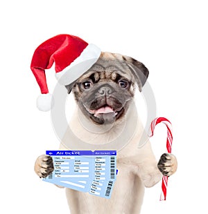 Dog in christmas hat holding ticket and candy cane. isolated on white background