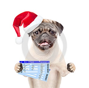 Dog in christmas hat holding ticket. isolated on white background