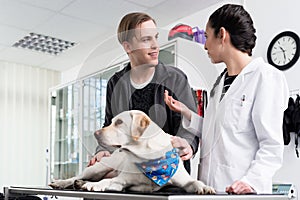 Dog in clinic for check-up