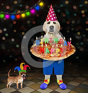 Dog clown holds holiday pizza at party 2