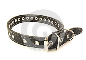 Dog-collar