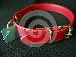 Dog collar with identification tag