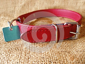 Dog collar with identification tag