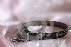 Dog collar on pink satin material symbolizing love