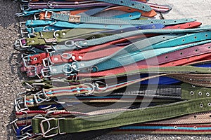 Dog collars