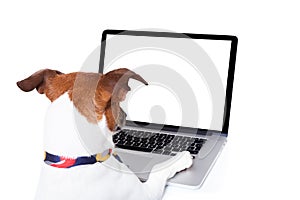 El perro computadora ordenador personal 