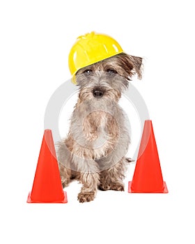 Dog Construction Worker