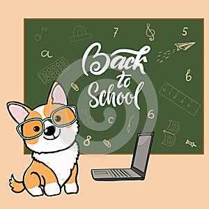 dog corgi back to school cartoon illustration. Cute friendly welsh corgi friend wearing glasses, near the school board