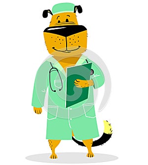 Dog in costume of doctor. Pet as a vet with with a stethoscope a