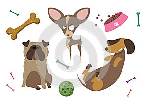 Dogs pug, dachshund, chihuahua. A set of pets with toys and a bowl