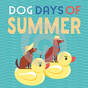 Dog days of summer comic cartoon vector poster