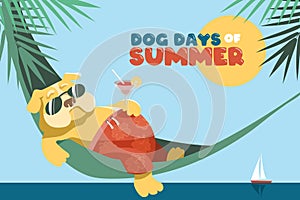 Dog days of summer. A cute fat English bulldog lies in a hammock photo