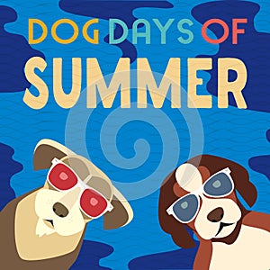 Dog days of summer photo