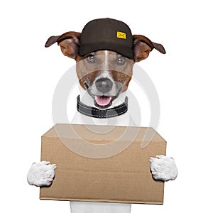 Dog delivery post photo