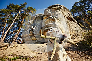 Dog and Devils heads