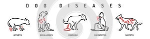 Dog diseases icon set. Skin allergies, ear infections, gastritis, shark feces, arthritis.