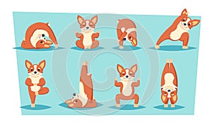 dog doing yoga. fitness funny happy animal dogs character, sport exercises pilates concept. vector cartoon characters.