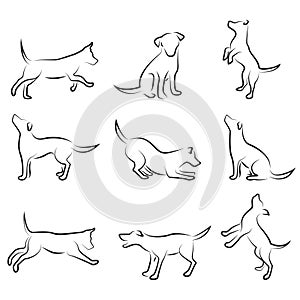 Dog drawing set