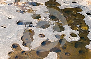 a dog on dried river