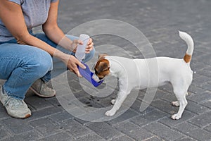 The dog drinks from a portable pet water bottle while walking with the owner