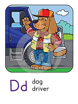 Dog driver Animals and professions ABC. Alphabet D
