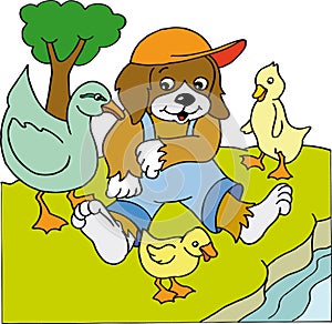 Dog with ducks