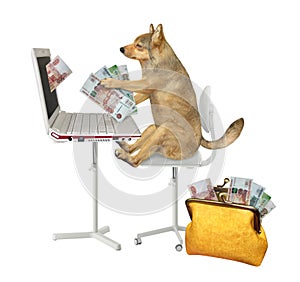 Dog earns rubles from laptop