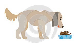 Dog Eating Food From Bowl Isolated Cartoon Canine