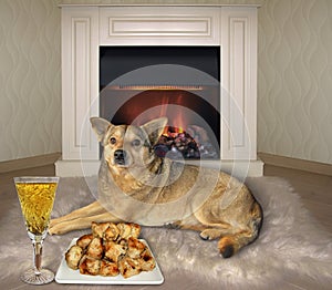 Dog eats meat near fireplace
