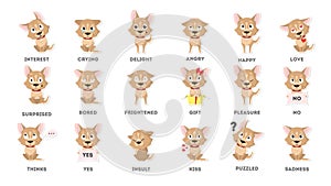 Dog emotions set.